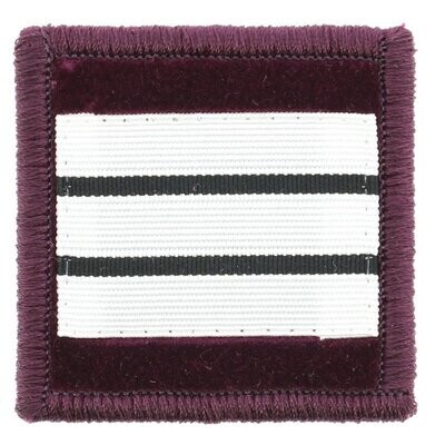 Grade capitaine vétérinaire pompier