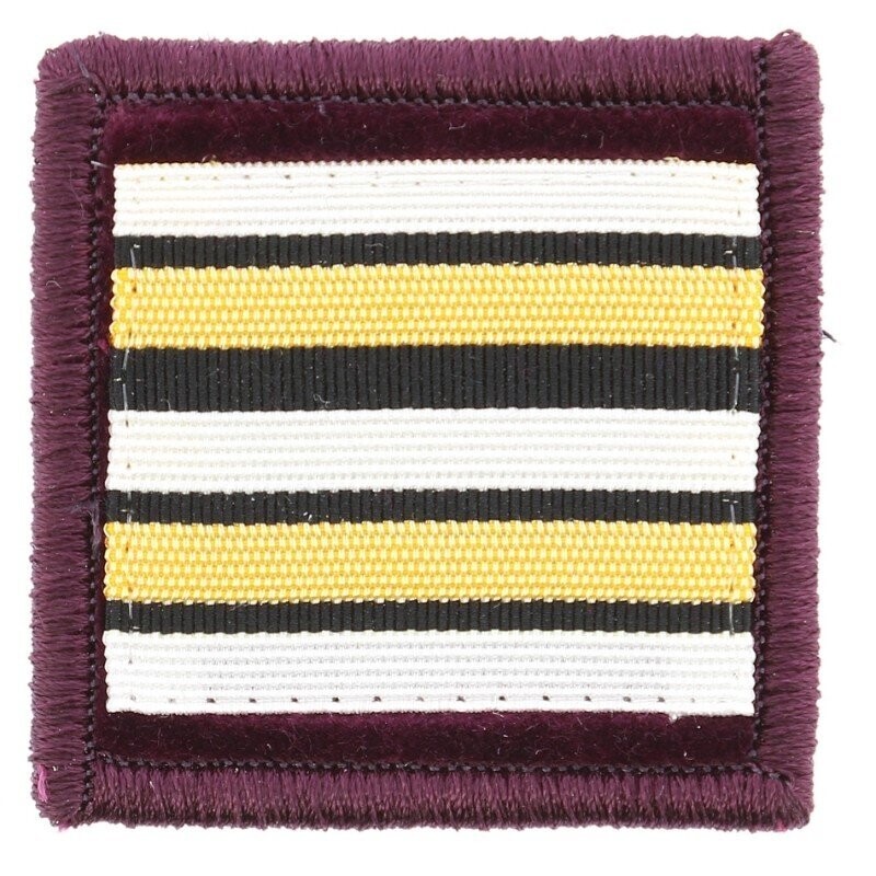 Grade lieutenant-colonel vétérinaire pompier