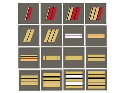Galons / écussons et cérémonie FA