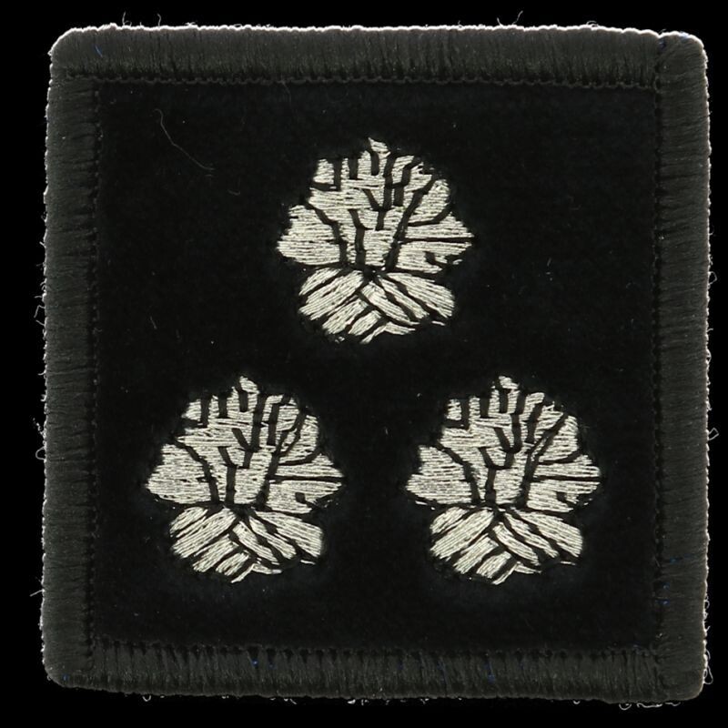 Grade contrôleur général 3 bûchers pompier