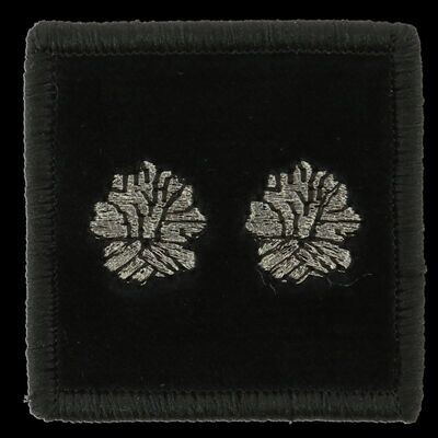 Grade contrôleur général 2 bûchers pompier