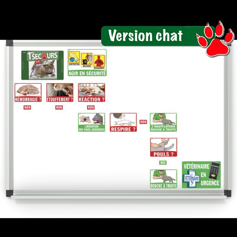 Kit de formation ICOMAGNET : PREMIERS SECOURS chiens et chat