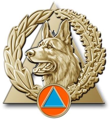 Insigne sécurité civile / sapeurs-pompiers équipe cynotechnique BRONZE