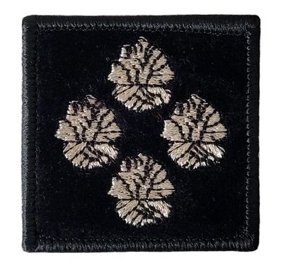 Grade contrôleur général 3 bûchers pompier