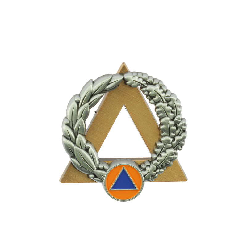 Insigne sécurité civile / sapeurs-pompiers moniteur secourisme ARGENT