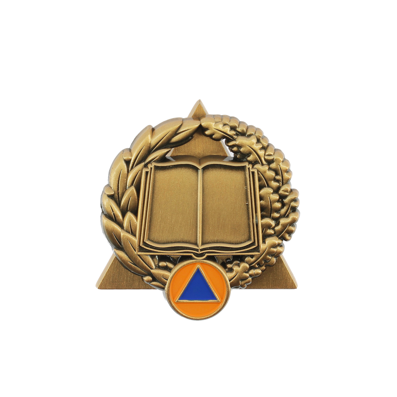 Insigne sécurité civile / sapeurs-pompiers activités de formation et développement des compétences Bronze