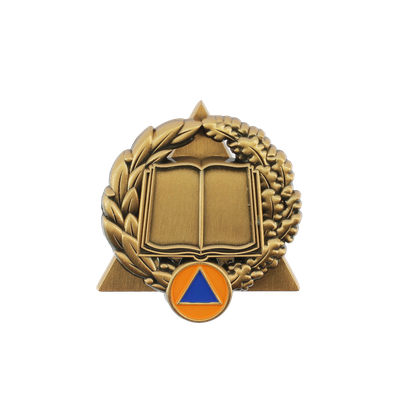 Insigne sécurité civile / sapeurs-pompiers activités de formation et développement des compétences Bronze