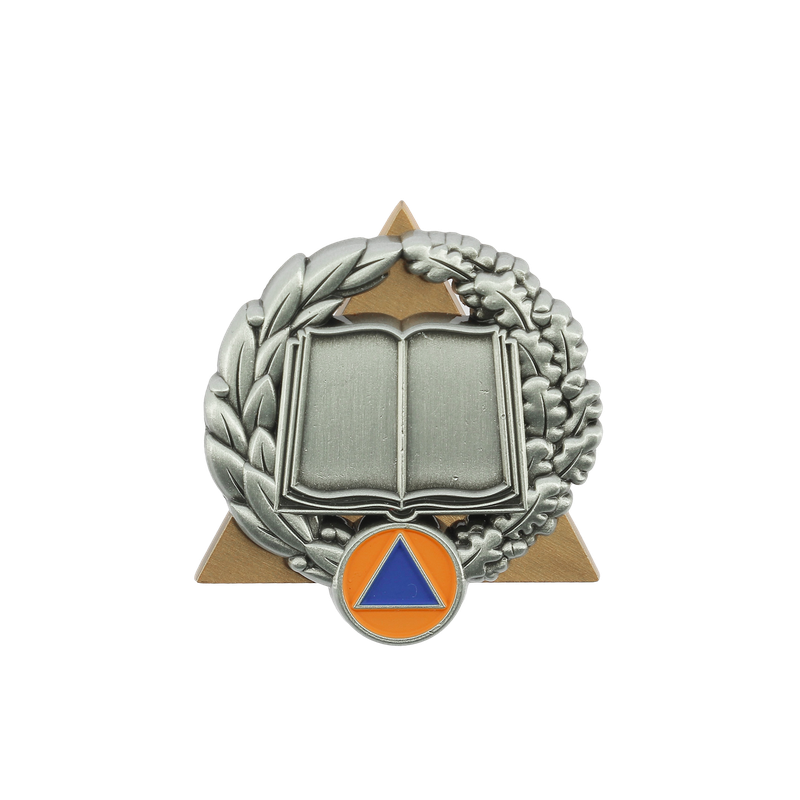 Insigne sécurité civile / sapeurs-pompiers activités de formation et développement des compétences Argent Insigne sécurité civile / sapeurs-pompiers activités de formation et développement des compétences Argent