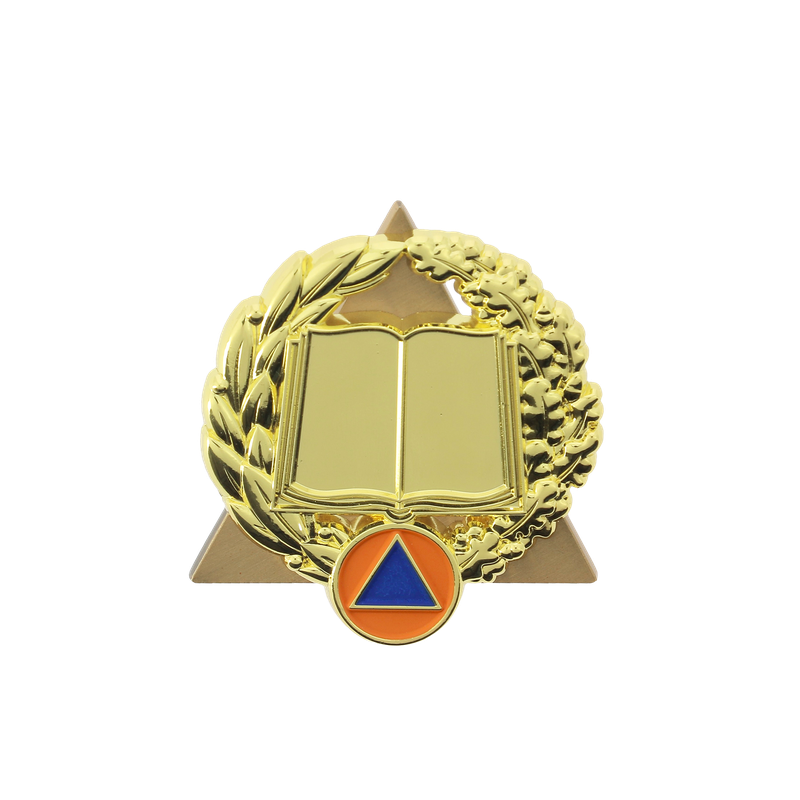 Insigne sécurité civile / sapeurs-pompiers activités de formation et développement des compétences OR Insigne sécurité civile / sapeurs-pompiers activités de formation et développement des compétences OR