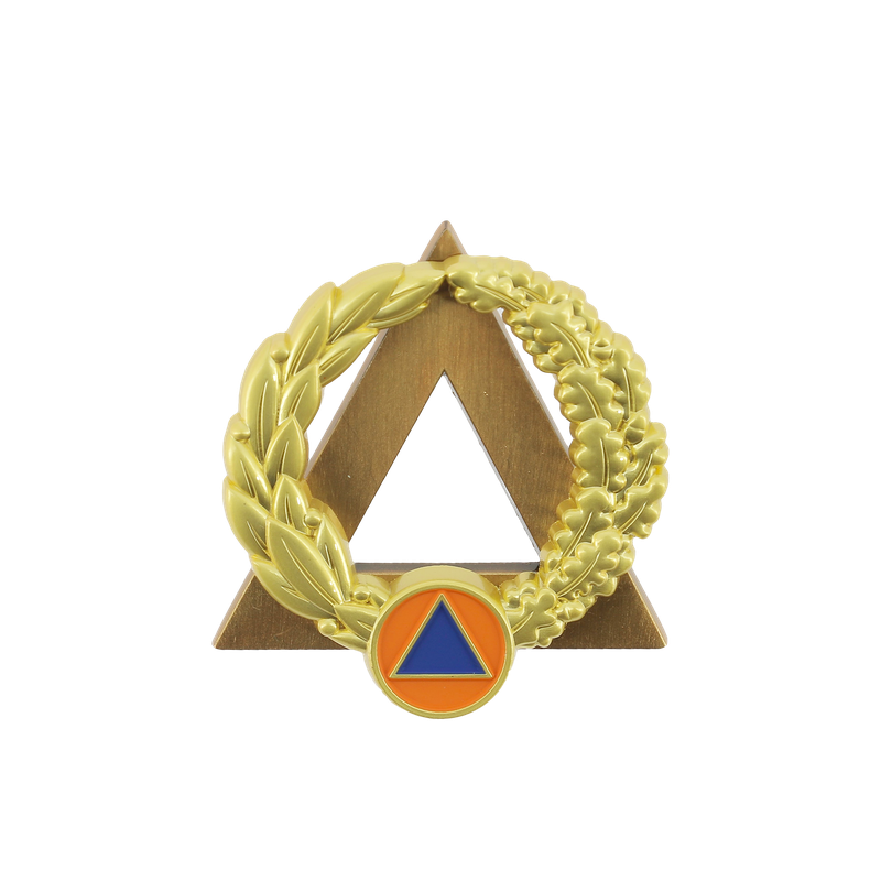 Insigne sécurité civile / sapeurs-pompiers moniteur secourisme OR