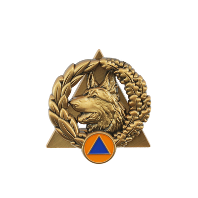 Insigne sécurité civile / sapeurs-pompiers équipe cynotechnique BRONZE