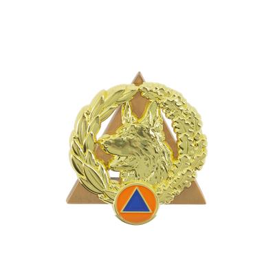 Insigne sécurité civile / sapeurs-pompiers équipe cynotechnique OR Insigne sécurité civile / sapeurs-pompiers équipe cynotechnique OR