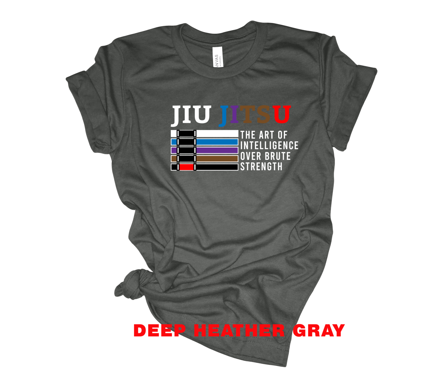 BJJ Art of Intelligence