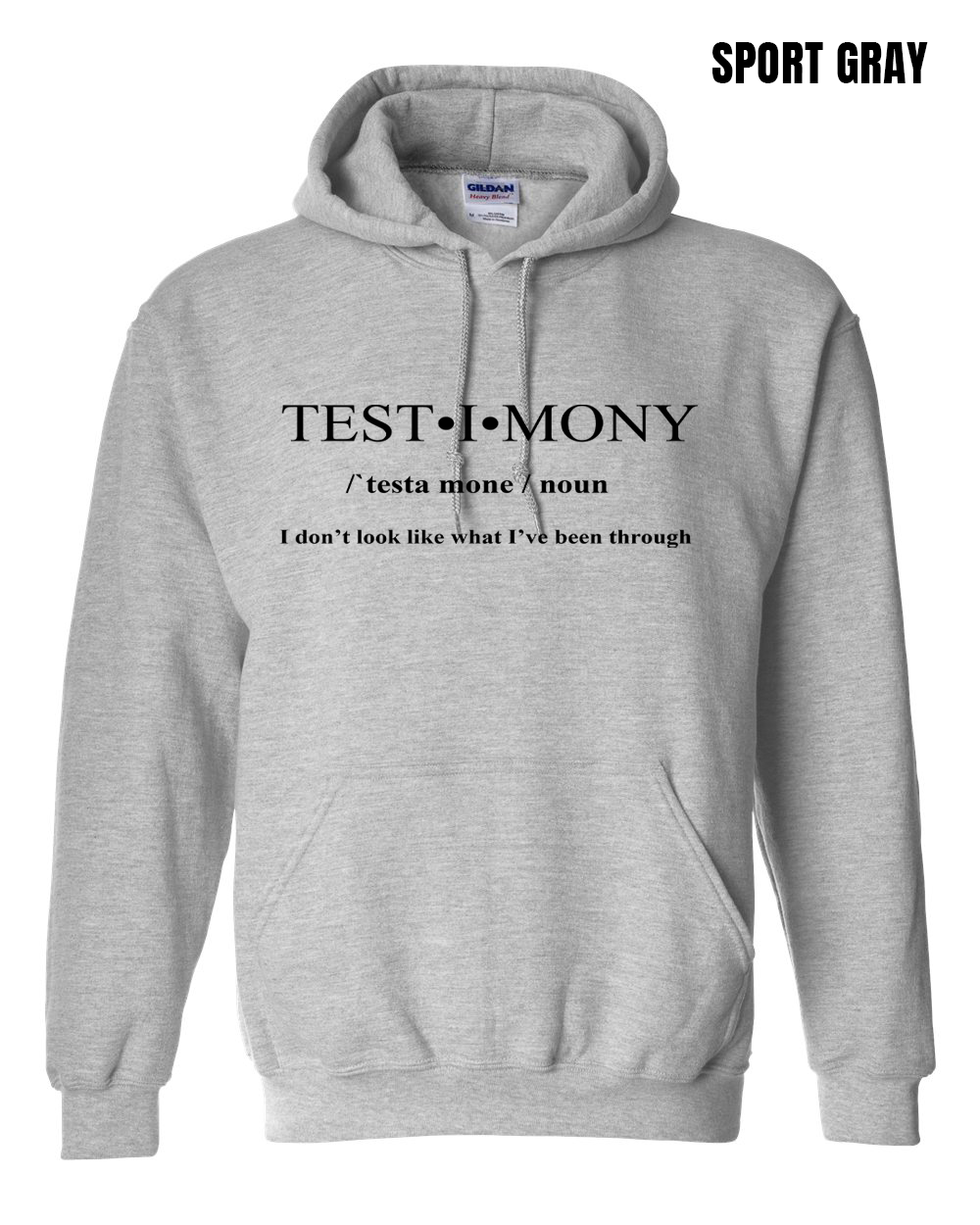 Test Into Testimony Definition Hoodie - PRE-ORDER