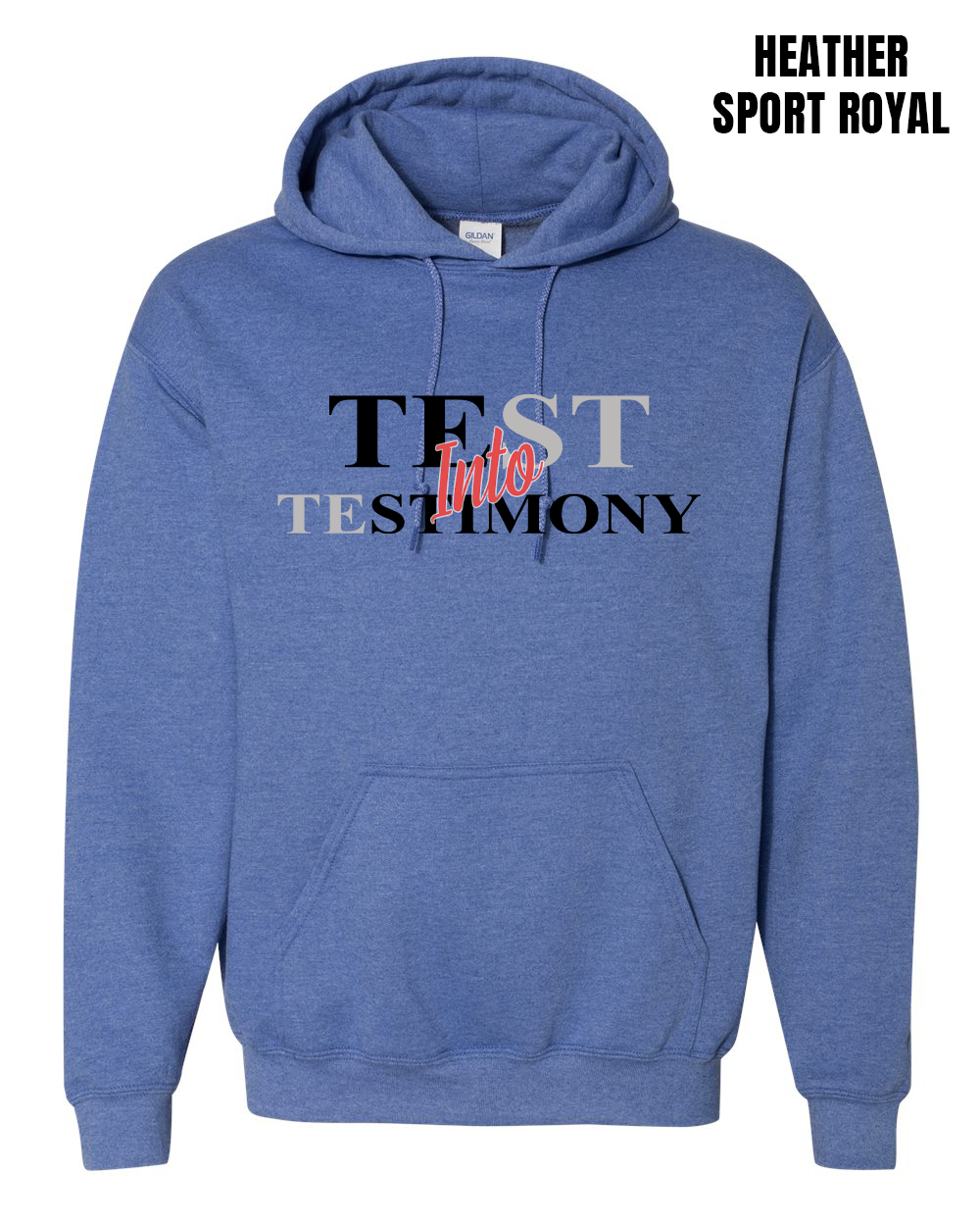 Test Into Testimony Definition Hoodie - PRE-ORDER