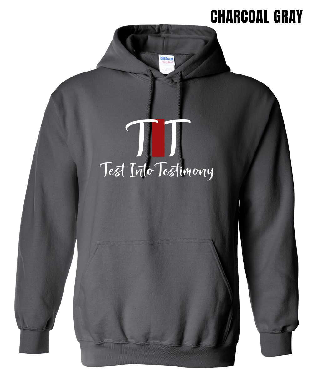 Test Into Testimony Definition Hoodie - PRE-ORDER