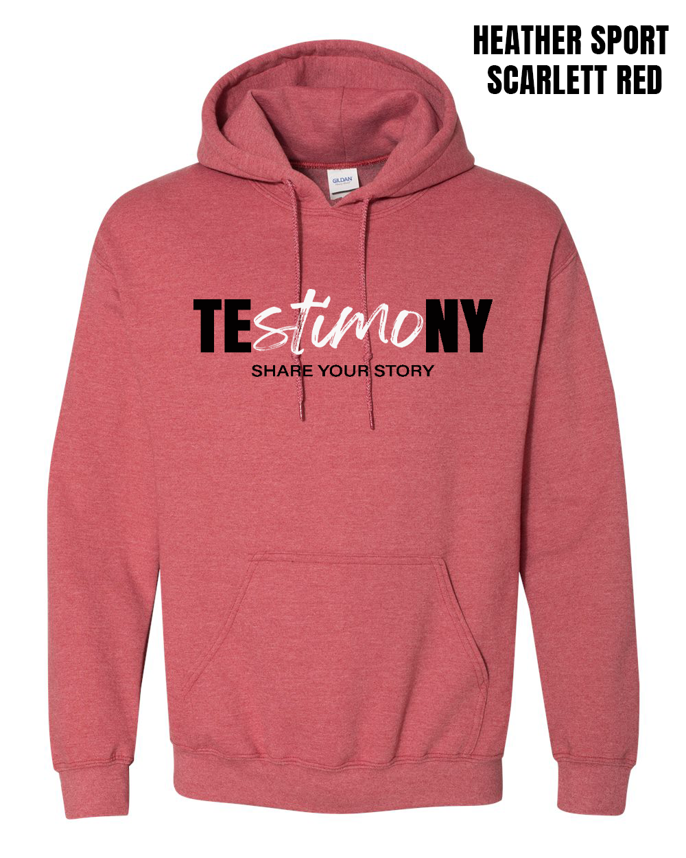 Test Into Testimony Definition Hoodie - PRE-ORDER