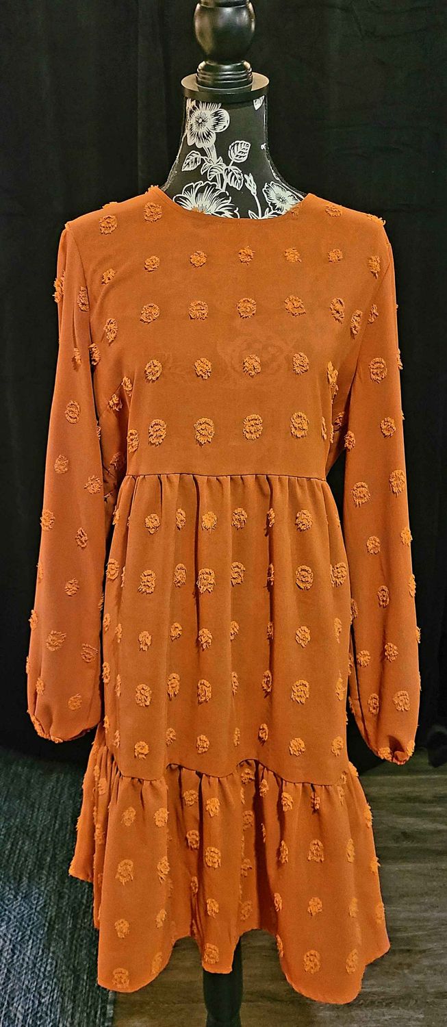 Rust Dot Long Sleeve Dress
