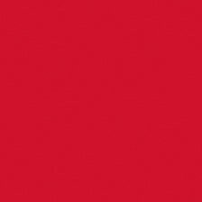Martha Stewart Acrylic Habanero Satin