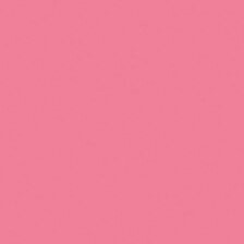 Martha Stewart Acrylic Camelia Pink Satin