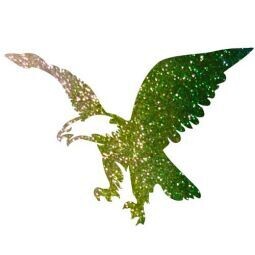 Weißkopfadler Glitzer Tattoo