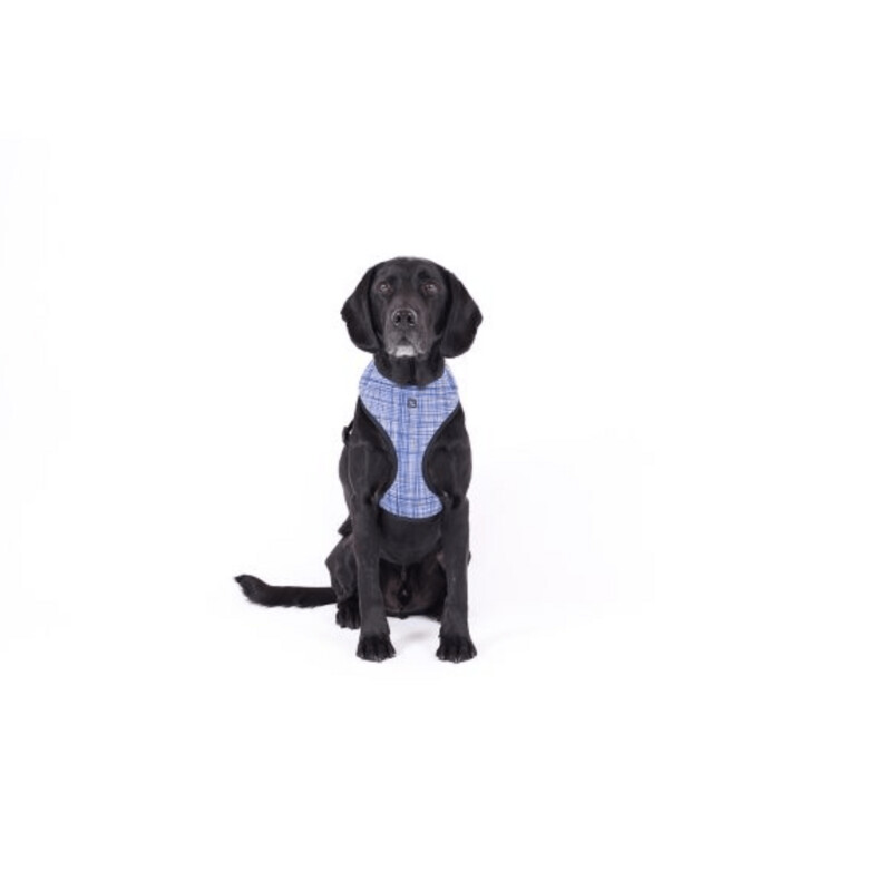 Mog and Bone Neoprene Harness SML - NAVY LINEN