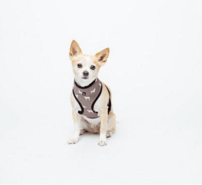 Mog and Bone Neoprene Harness SML - MOCHA DOG