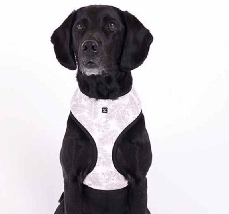Mog and Bone Neoprene Harness SML - MOCHA LEAF