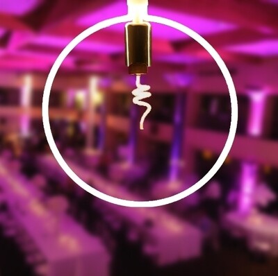 LED Lighted Outline Bulb - Circle w/Socket