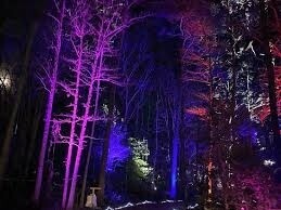 RGB Smart Flood Lights