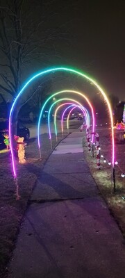 LED Neon Arches