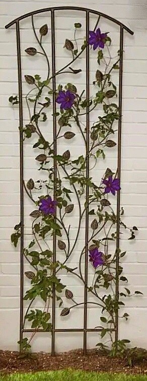 6ft Garden Trellis