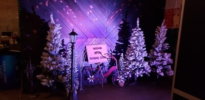 Snow Trees - Non Lighted