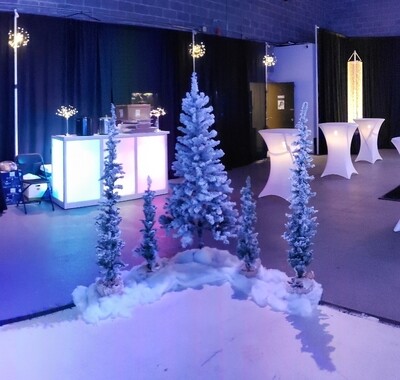 Trees - Lighted &amp; Non Lighted