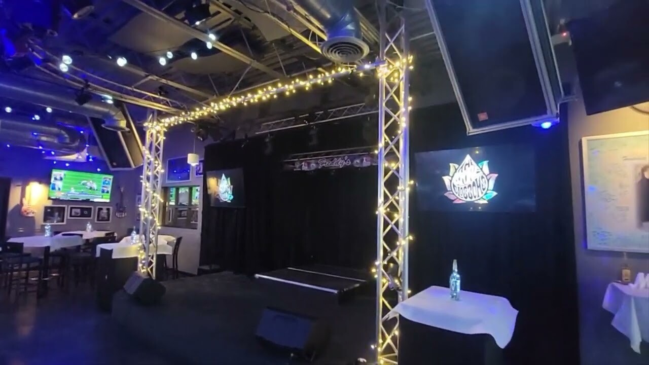 Cool White "Sparkle" Bistro Lights