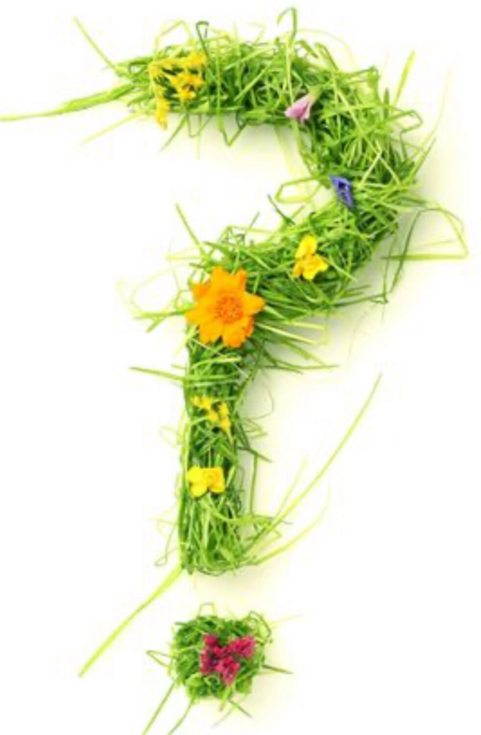 Verassing Van De Bloemist