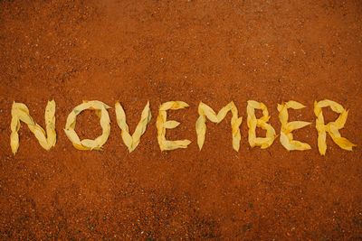 November Appointments