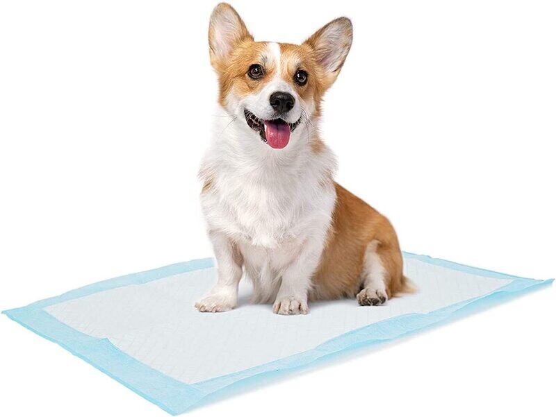 Pets Training Pads