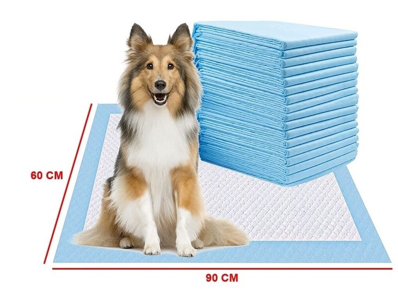 Size 60 cm X 90 cm