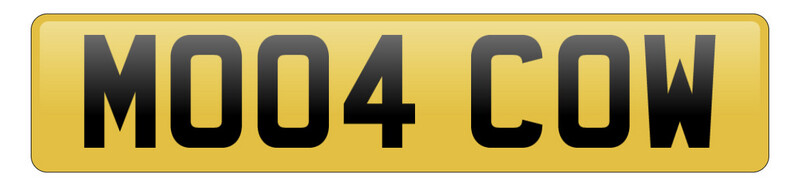 MO04 COW