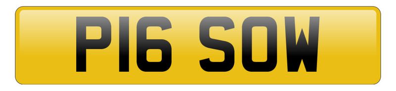 P16 SOW