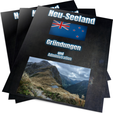 Neu-Seeland (Firmengründung und Services)