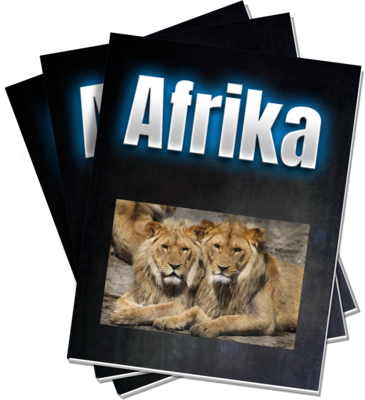 Büro-Service Afrika