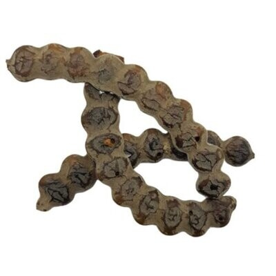 Graines de nep nep - 100% pure et naturelle - 1 kg