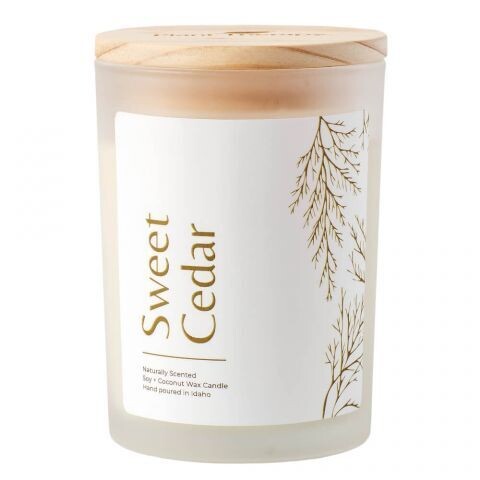 Bougie parfumée naturelle - cèdre sucré - Plant Therapy - 227 g