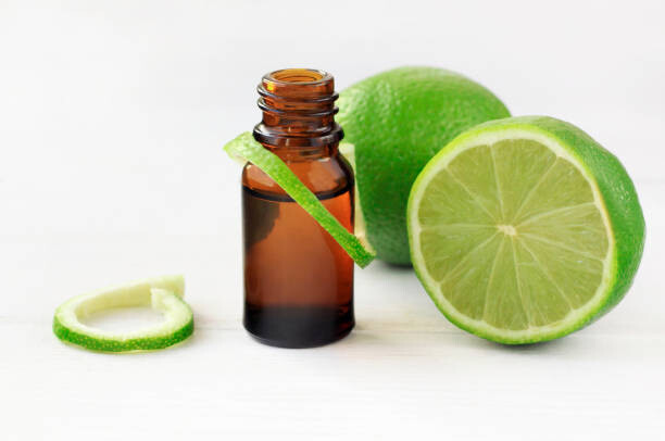 Huile essentielle de citron vert - 100% naturelle - Plant Therapy
