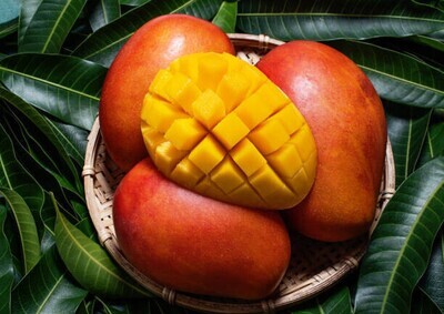 Beurre de mangue - 100% pur et naturel  - 1 Kg