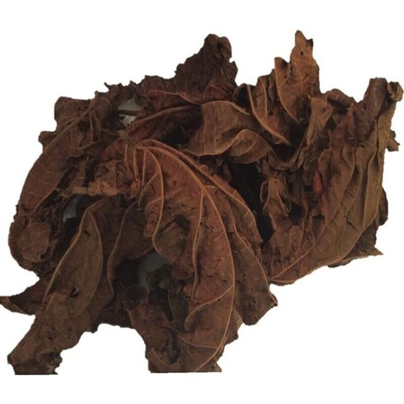Poudre de djeka - 100% pure et naturelle - 1 Kg