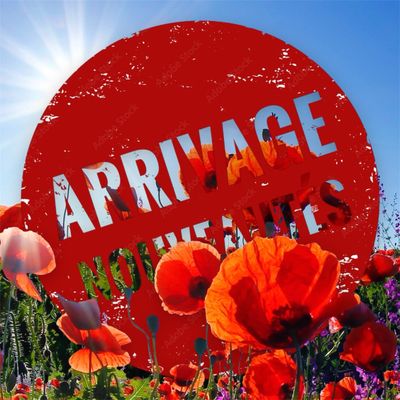 Arrivages - Nouveautés