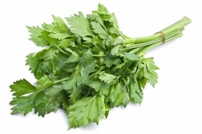 FRUNZE DE TELINA